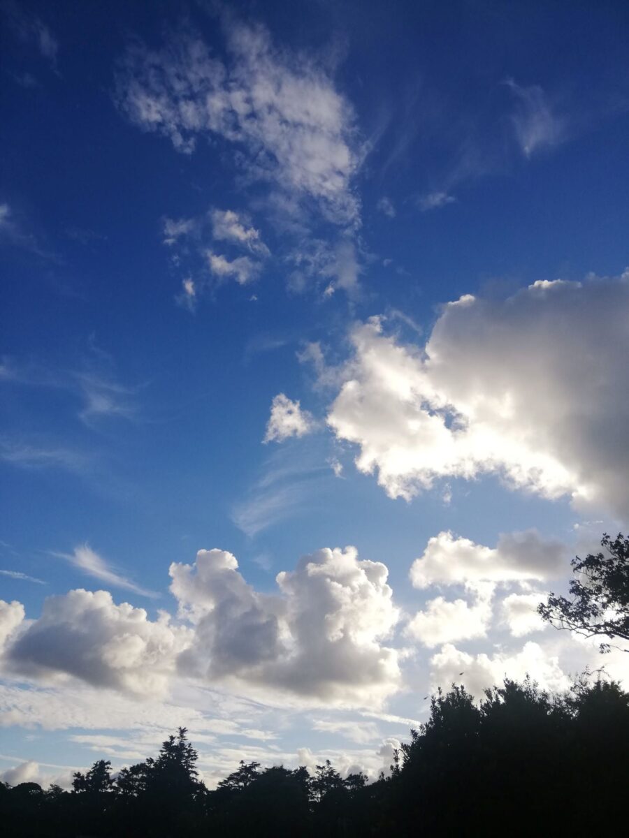 真夏の空を見て思う ～ 平和について再び ～