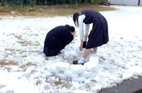 今日のひとコマ