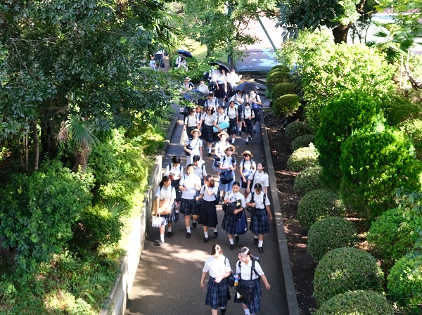 学校が始まりました