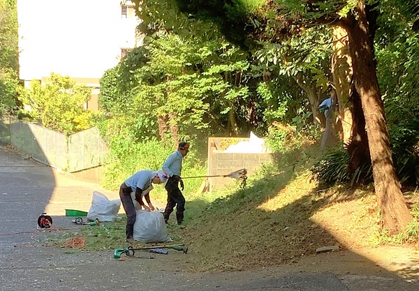 夏休みの最後に草刈り