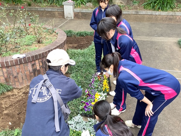 中２総合　元町公園で花の植え替え